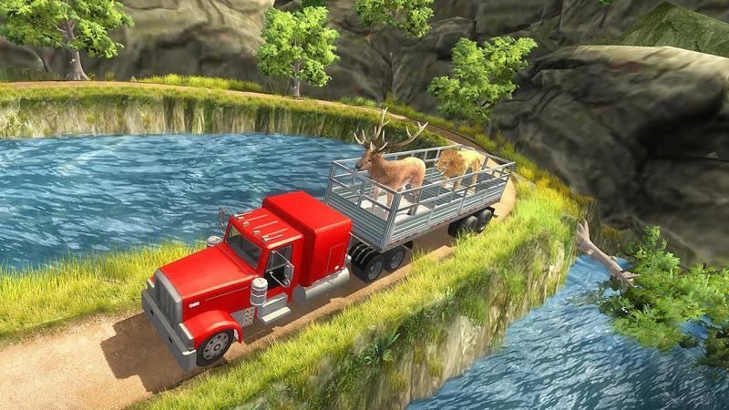 動(dòng)物運(yùn)輸車駕駛