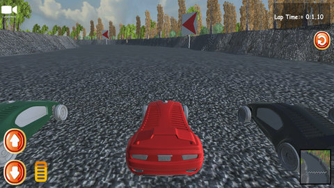 公路賽車駕駛