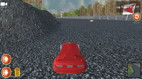 公路賽車駕駛
