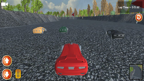 公路賽車駕駛