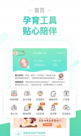 孕期伴侶