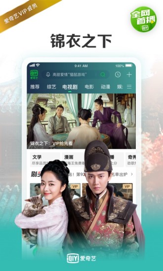 愛(ài)奇藝 2020最新版