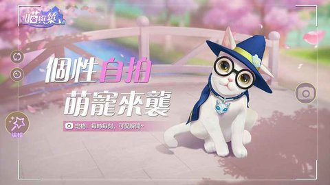 喵與筑 無限金幣版