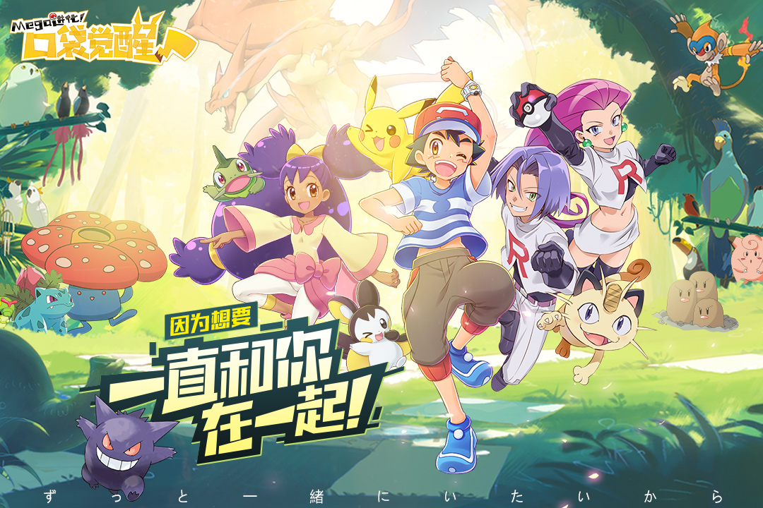 口袋覺醒 九游版