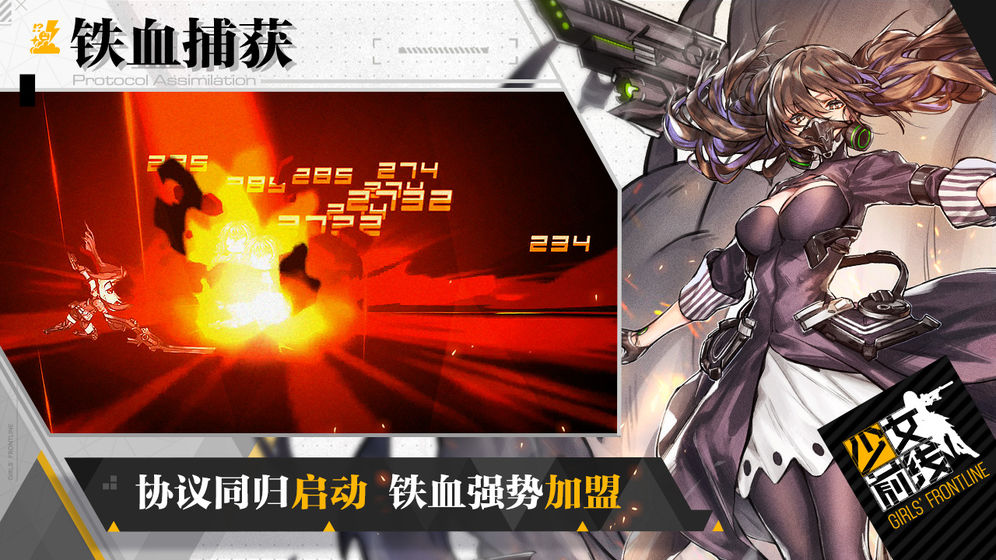 少女前線 臺服