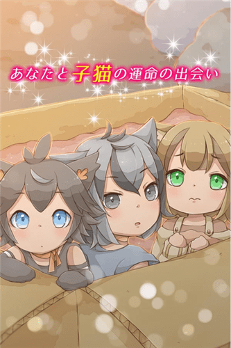 我與小貓共處一室