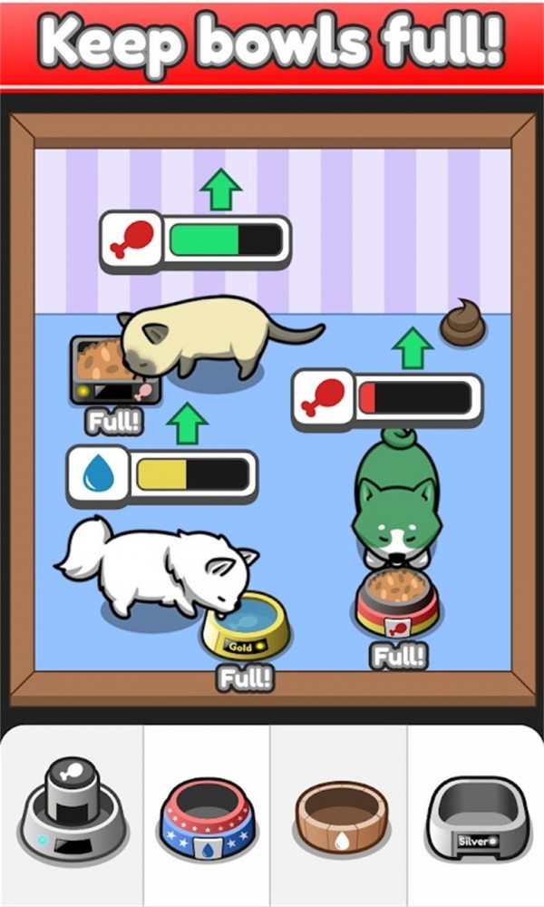 云養寵物