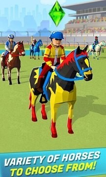 閑置賽馬