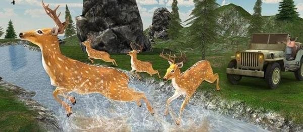 野鹿狩獵