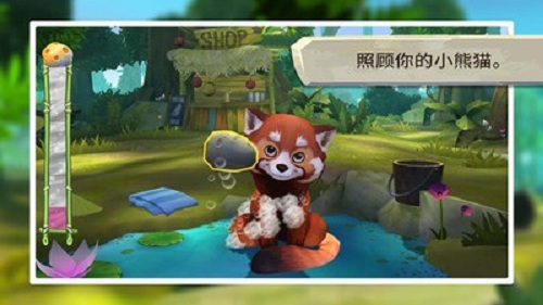 我的小熊貓
