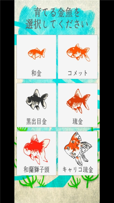 金魚(yú)育成