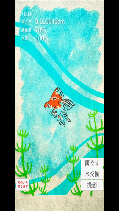 金魚(yú)育成