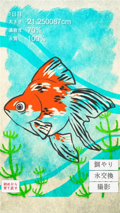 金魚(yú)育成