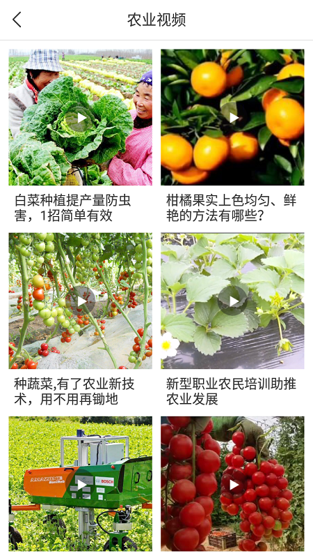 寧農(nóng)寶