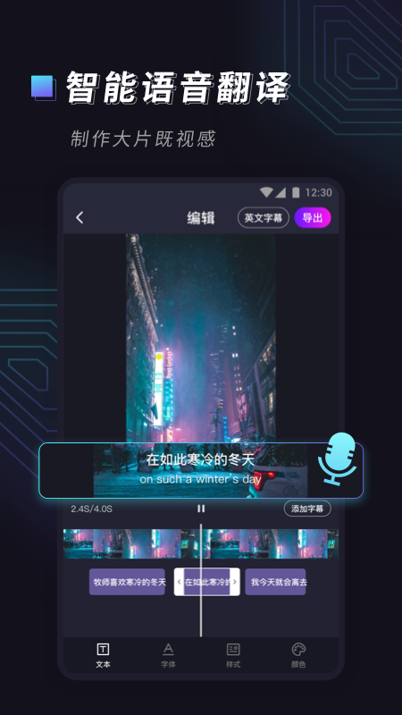 視頻字幕大師