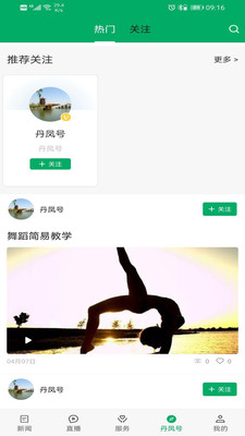 愛丹鳳