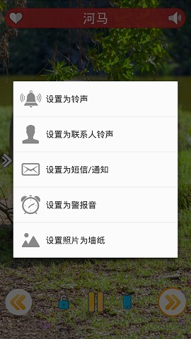 好多小可愛