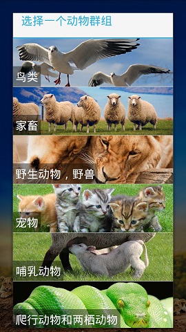 好多小可愛