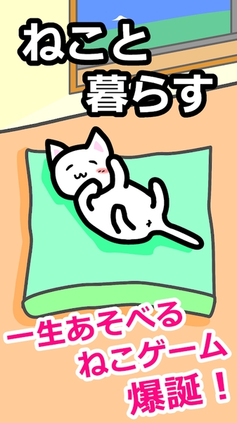 貓貓生活