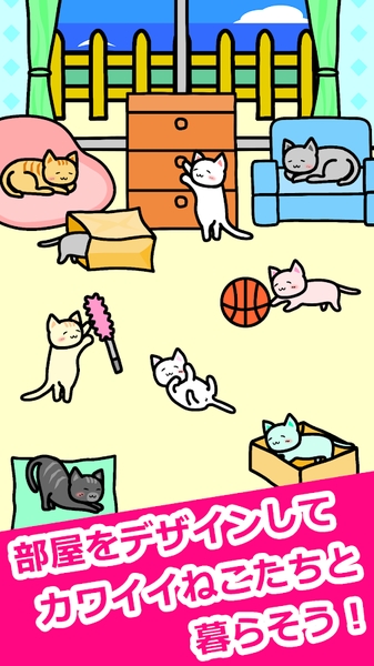 貓貓生活