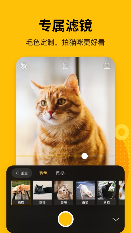 爪嘰