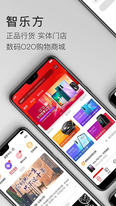 智樂方