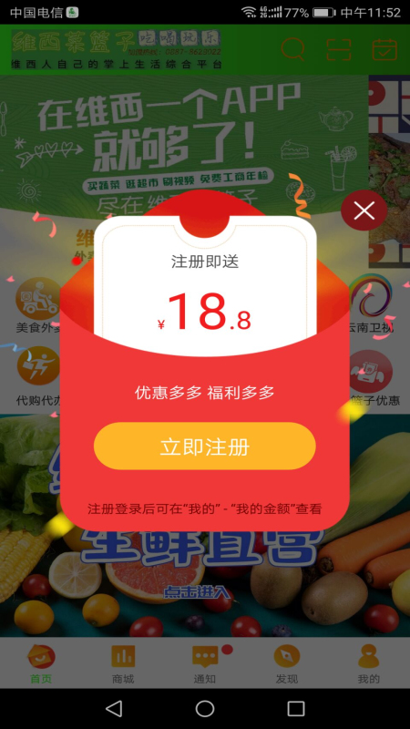 維西菜籃子