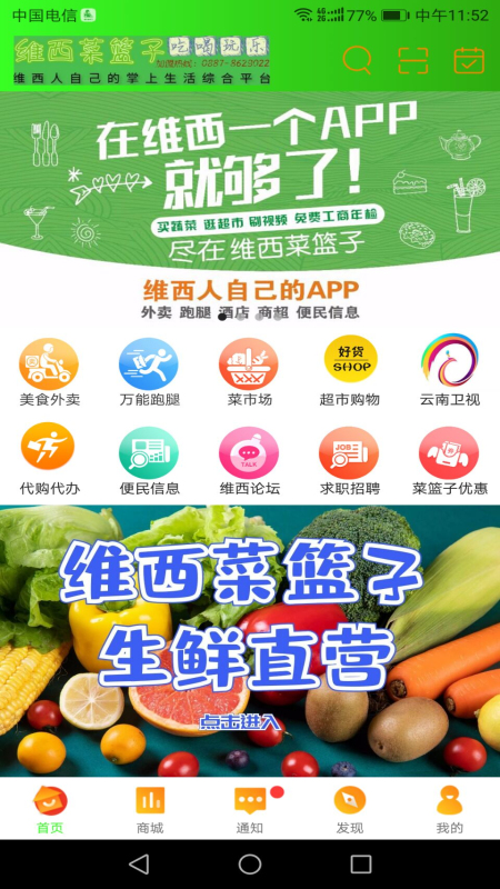 維西菜籃子