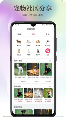 跟腳網(wǎng)