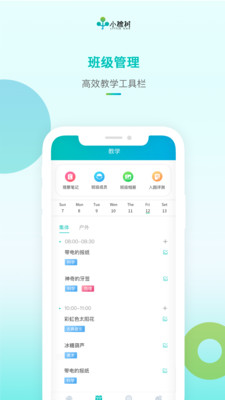 小橡樹