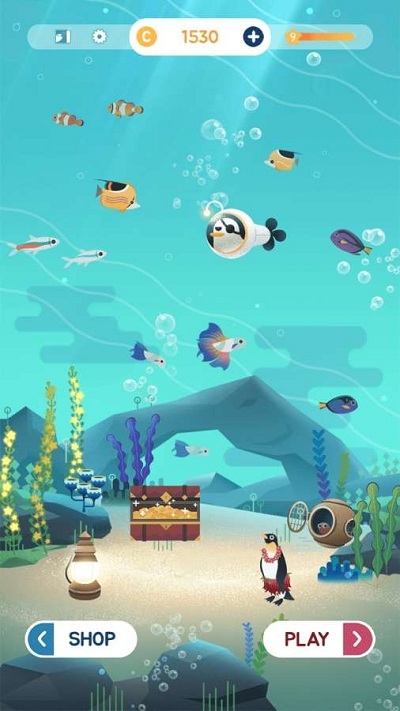 水族館之謎