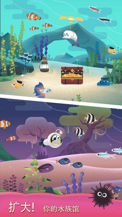 水族館之謎