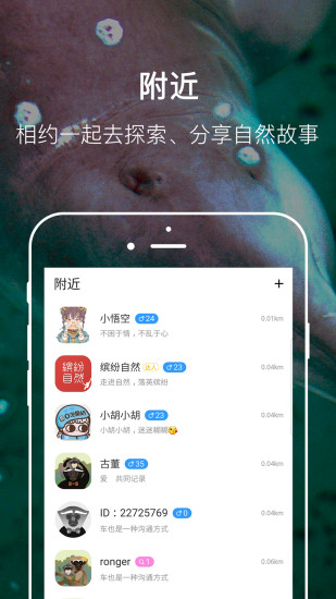 繽紛自然