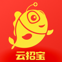 云招寶