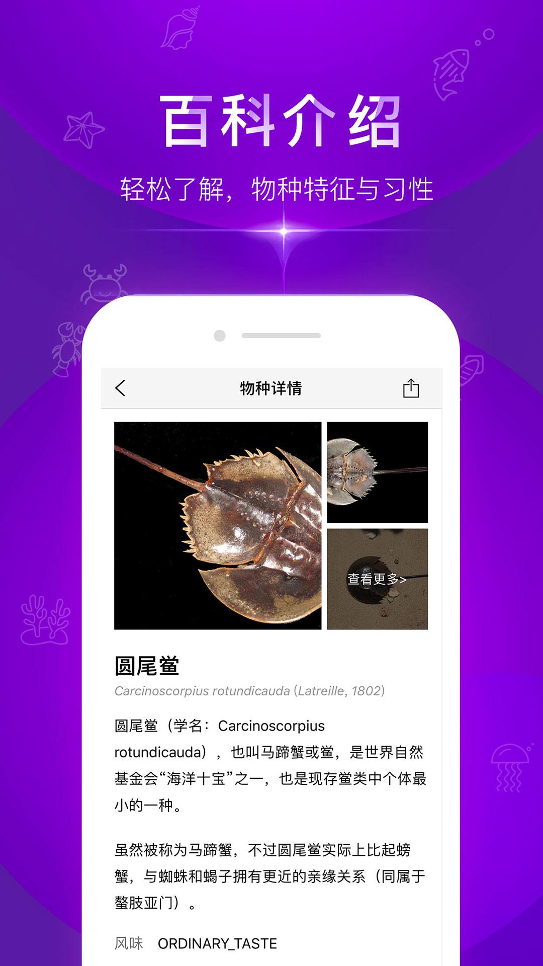 問魚