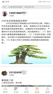 中國(guó)小微盆景