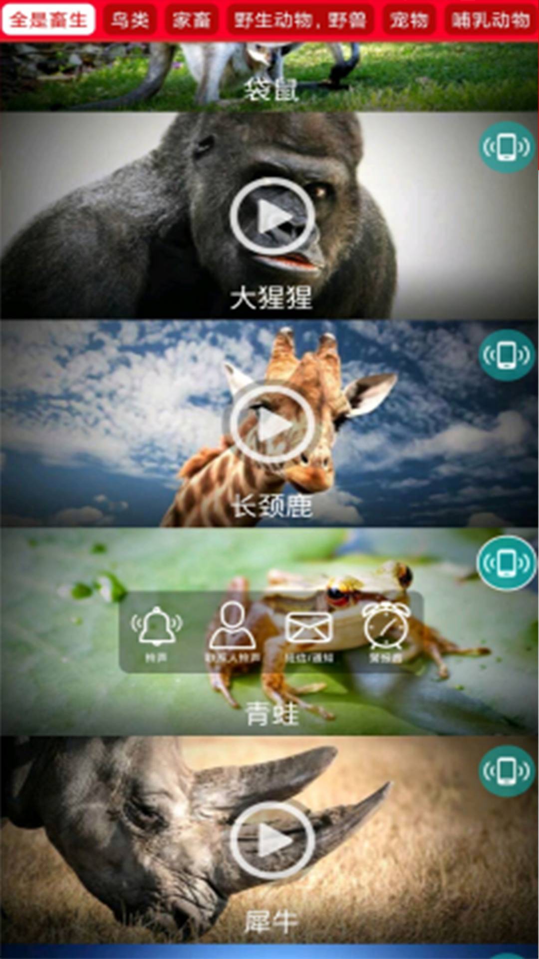 Red鈴鈴響