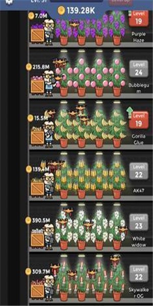 閑置雜草工廠