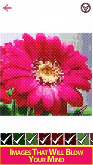 花朵十字繡