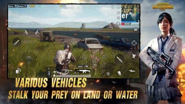 PUBG 低配版