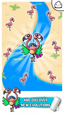 火烈鳥進化