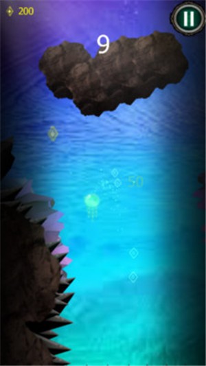 水母的海洋探險