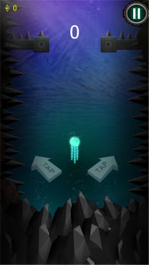 水母的海洋探險