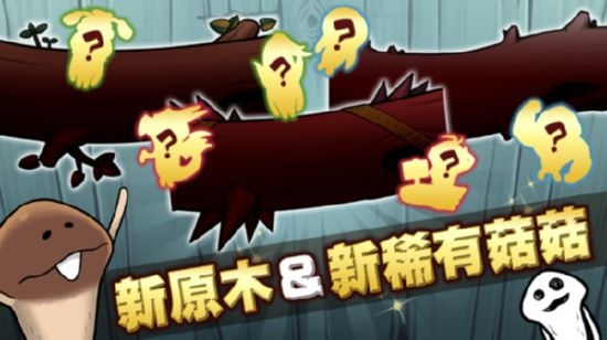 究極菇菇栽培研究室