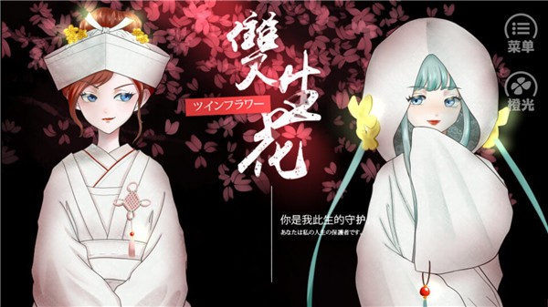火影雙生花