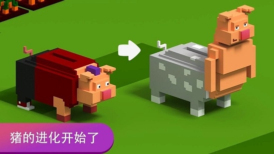 方塊小豬大作戰(zhàn)