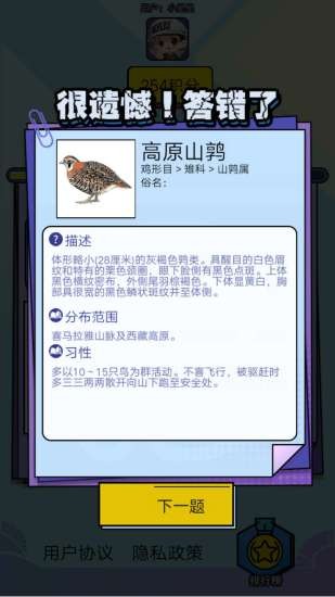 飛鳥樂園