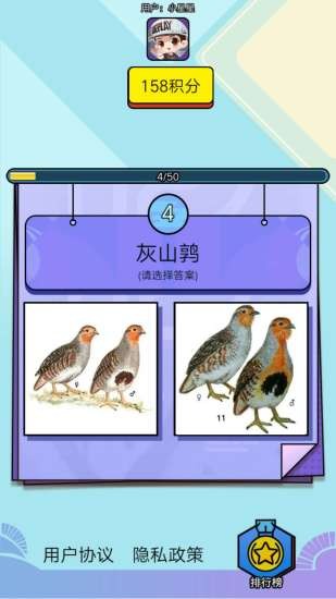 飛鳥樂園