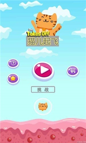 貓兒起飛