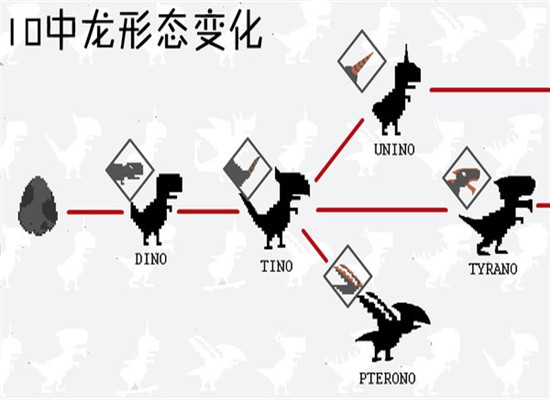 10日壽命龍養成